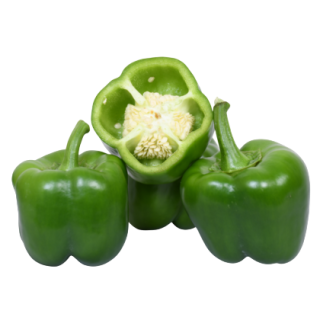 Sweet Pepper Fiza From Known You Seed (India) (1)-KYI